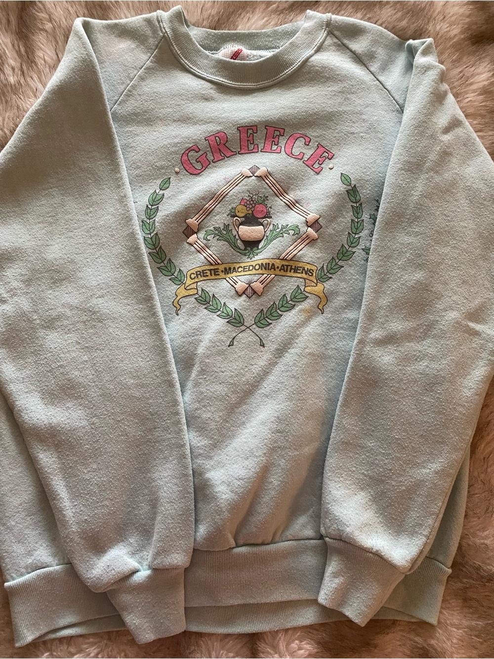 Jerzees Light Blue Greece Crewneck Sweatshirt with Crest Graphic